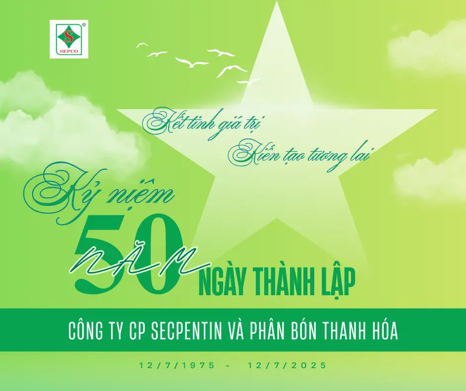 50 NĂM 